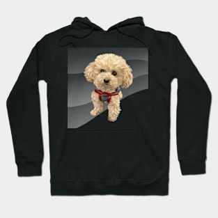 brown curly dog-vector art of the dog Hoodie